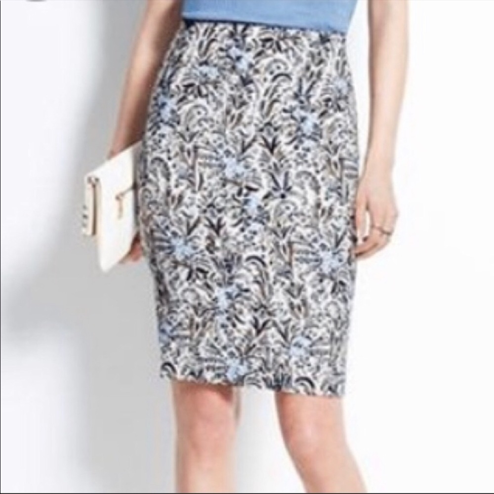 Ann Taylor Petite Skirt